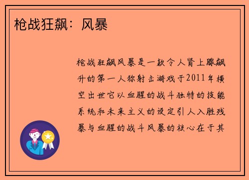 枪战狂飙:风暴 枪战狂飙:风暴